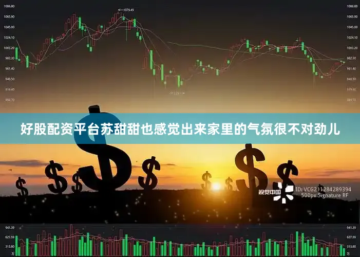 好股配资平台苏甜甜也感觉出来家里的气氛很不对劲儿