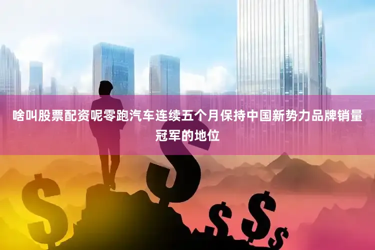 啥叫股票配资呢零跑汽车连续五个月保持中国新势力品牌销量冠军的地位