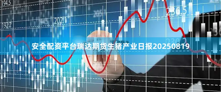 安全配资平台瑞达期货生猪产业日报20250819